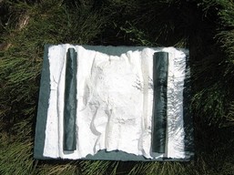 gestation  (50x65).jpg
