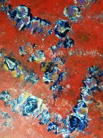Envol 2 37x42.jpg