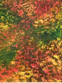 complétude (50x70).jpg