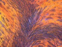 feu d artifice (50x60).jpg