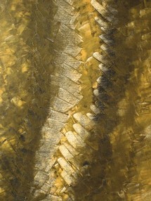 ivresse 2 (50x60).jpg
