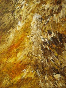 vision (60x80).jpg